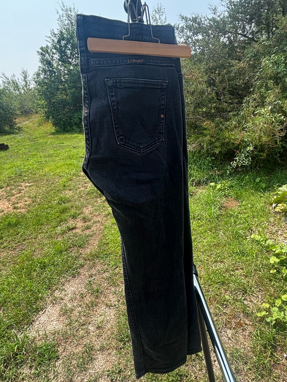 Wrangler Women's Black Q-Baby Bootcut Jeans